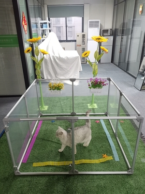 大型猫や犬のための外れる重用アクリル安全遊び場 透明なフェンス