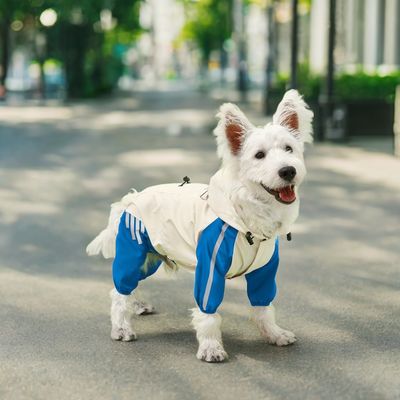 コート 小さい動物用のジャケット 秋季ペット用レインコート S-XLサイズ