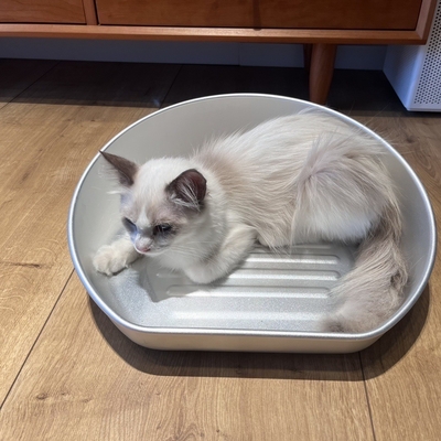 この夏,冷却用キャットポット 受け入れられるOEM ODM アルミ盆で涼しくしてください