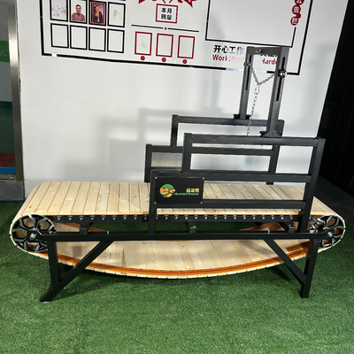 ペット 日常 訓練 トレーディング ミール 仲間 ペット の 持続 的 な 室内 運動