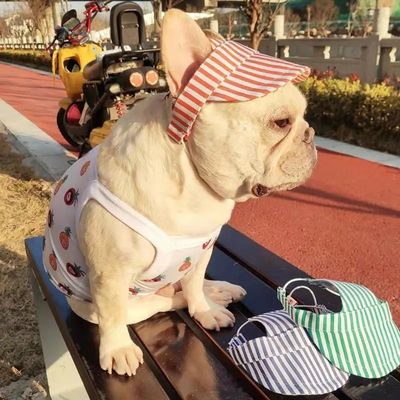 OEM ODM 受け入れられる カスタマイズされた ファッションペット帽子 犬野球帽子 ファッションスタイル