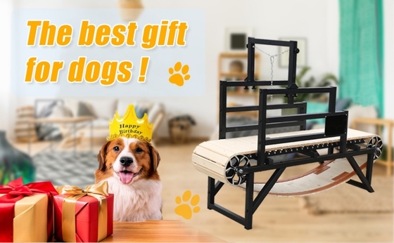 品種 他 ペット 日常 訓練 犬 走行台 ピットブル 走行用 スラット ミル