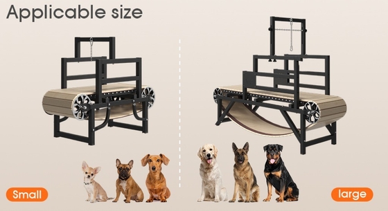 Alipetsmileで効果的な犬訓練 パーソナライズドトレッドミール機能 訓練犬