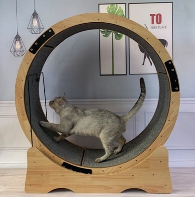 猫のクライミングフレーム 繊維板 猫の車輪 トレーディングミール 静かな運動 猫のためのランニングおもちゃ