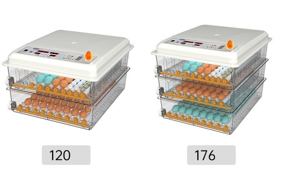 20 GP 荷装 70 セット 鶏飼育用の完全自動鶏卵育種器