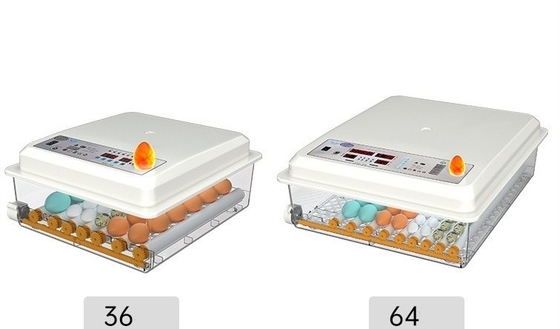 16 卵 デジタル ミニ 自動 インキュベーター 輸送港内の他のペット製品
