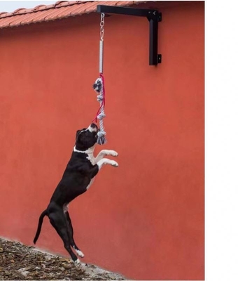 専門的な重量プロモーション スプリングポール セット 犬のために 体重105ポンド~210ポンド ペット