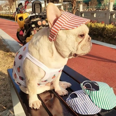 ストライプドッグサングット 調整可能な犬用スポーツキャップ 子犬用 小型犬用 綿のペットキャップ