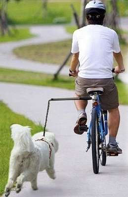 42.5cmのストック 68cmのロープで,アクティブで冒険的な犬のための,ハンドフリーな自転車犬のリード