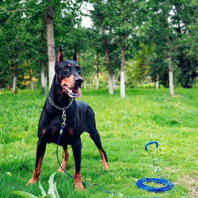 野外活動 100-150kg/220-330lbs のリード重量容量を持つ犬のタイアウトステーク