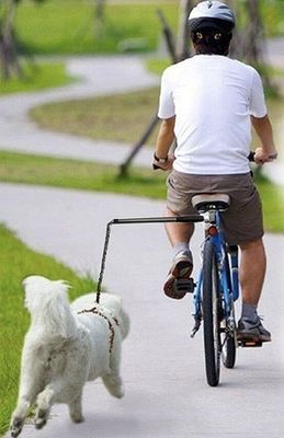 すべての自転車 設置が簡単 自転車 犬のリード 安全 犬のリード ブラックに適しています