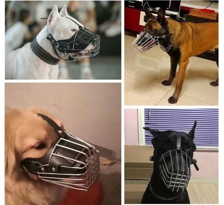 2023 耐久性のある犬の鼻の金属革 透けるデザイン