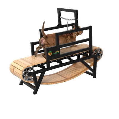 訓練用耐久設計の犬用トレッドミール 負荷量 20GP 70セット