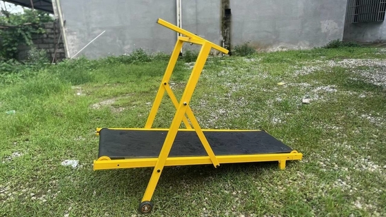 安全で耐久性のあるペットトレーニング機器 大型犬のための折りたたみトレッドミール OEM ODMを受け入れます