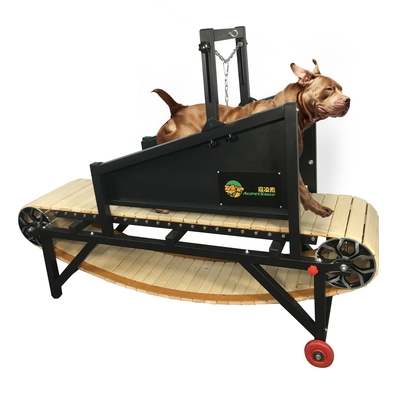 犬 の 走る スラット ミル 機械 大型/中型 の 犬 を 健康 に し て 屋内 で 活動 的 に 保つ