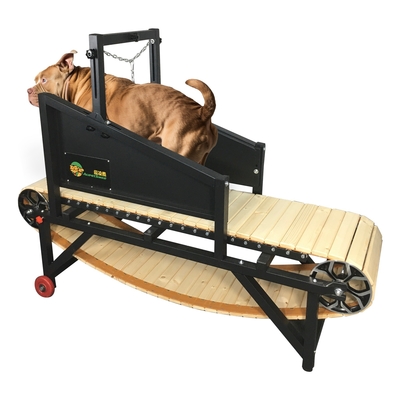 大型犬のための機械的な犬トレッドミール 受け入れられるOEM ODM 輪のデザインが含まれています