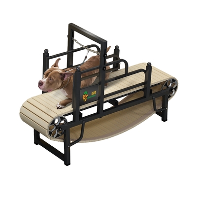 小型中型または大型犬のためのカスタムノイズレスペットドッグトレッドミール 粉末コーティング仕上げ