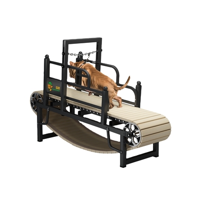 小型中型または大型犬のためのカスタムノイズレスペットドッグトレッドミール 粉末コーティング仕上げ