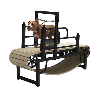 小型中型または大型犬のためのカスタムノイズレスペットドッグトレッドミール 粉末コーティング仕上げ