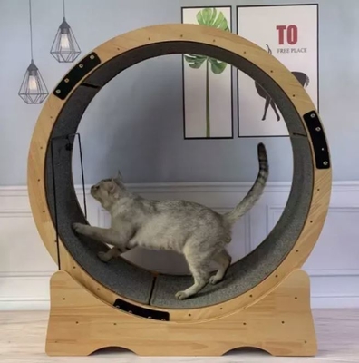 小さい動物のためのカスタマイズされた0.30mm厚さの猫のスケラッチボード アメリカ市場 楽しいトレッドミール