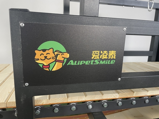 パーソナライズドペット 日常トレーニングトレッドミール 機械 大型犬のための運動機器