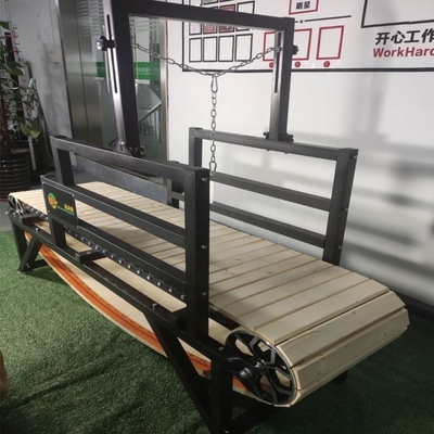 パーソナライズドペット 日常トレーニングトレッドミール 機械 大型犬のための運動機器