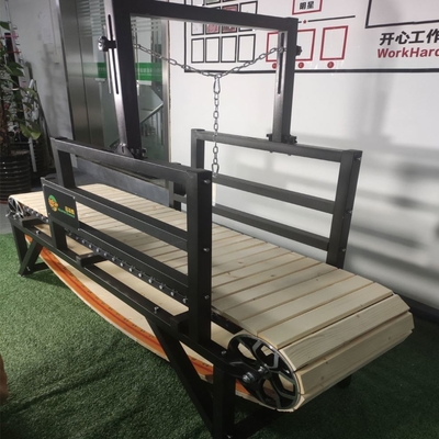 ペットランニングマシン IRON 大型犬のトレーニングとランニングのための備蓄トレッドミール