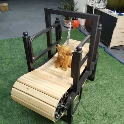 小型犬のためのペットトレーニングトレッドミール