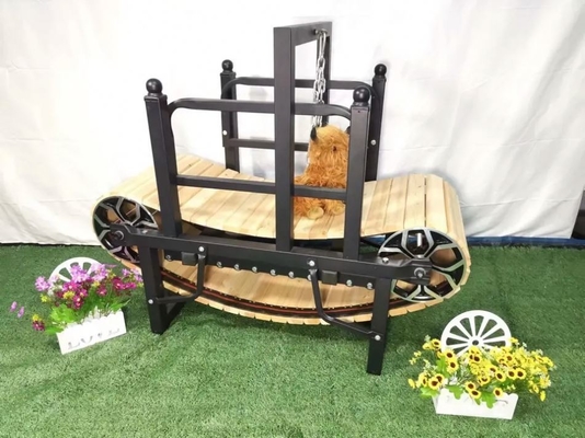 飼い犬 の 運動 習慣 を 向上 さ せる よう に する