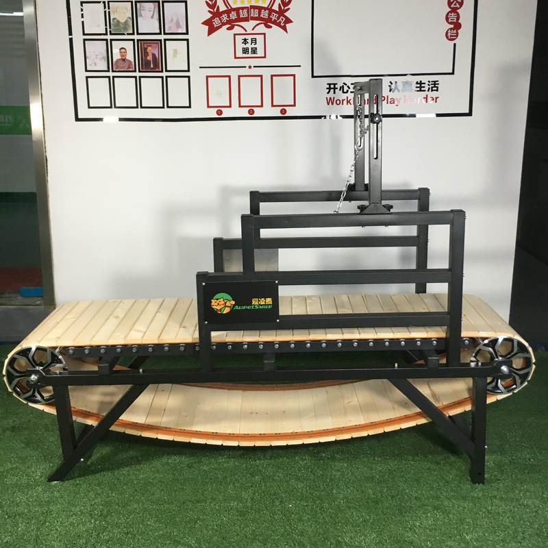 パーソナライズド サイズ ペット トレーディング ミル 犬 の 訓練 と 運動 の 進歩 に 理想 的