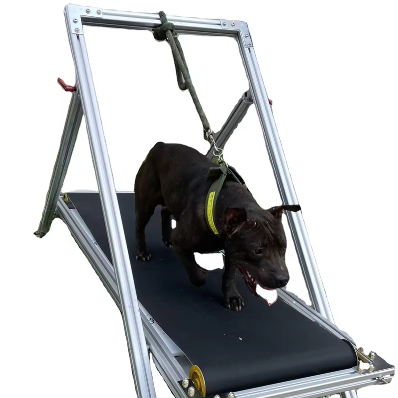 犬の運動 スラットミル ペットのトレッドミル ピットブルのためのウォーキングマシン 備蓄されたカーペットミル