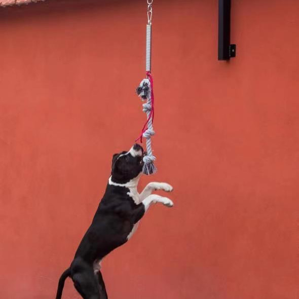 港上海または南京港 犬のための重用スプリングポール 小動物