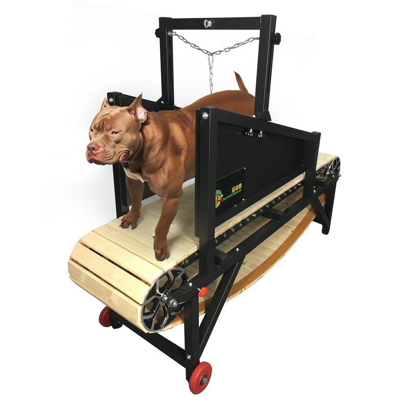 犬 の 性能 を 最大限に 高め て ください 室内 の 屋外 の 訓練 の ため の 軽量 な スラット ミル