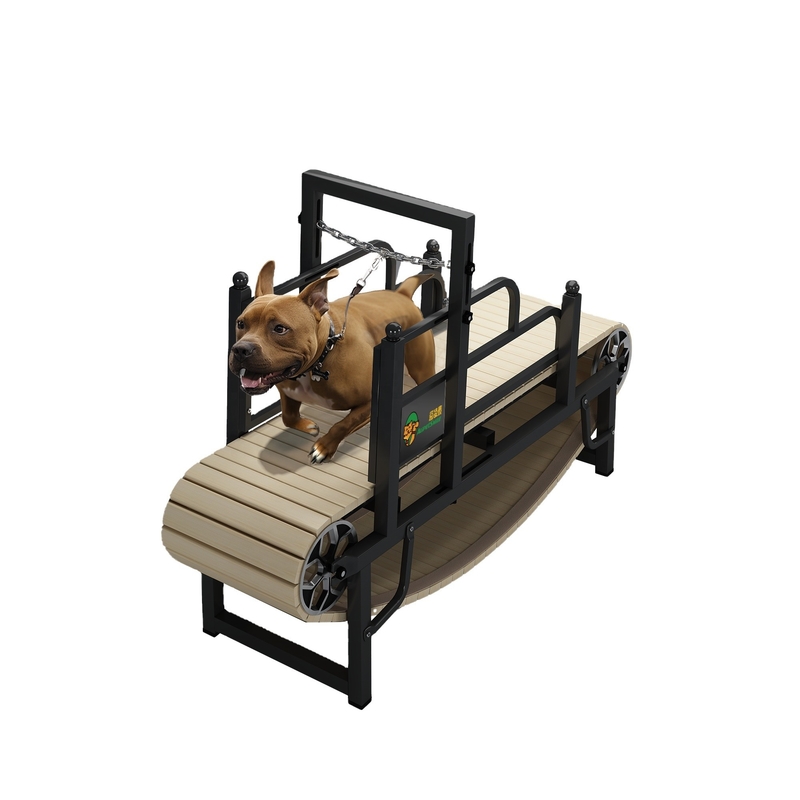 小型中型または大型犬のためのカスタムノイズレスペットドッグトレッドミール 粉末コーティング仕上げ