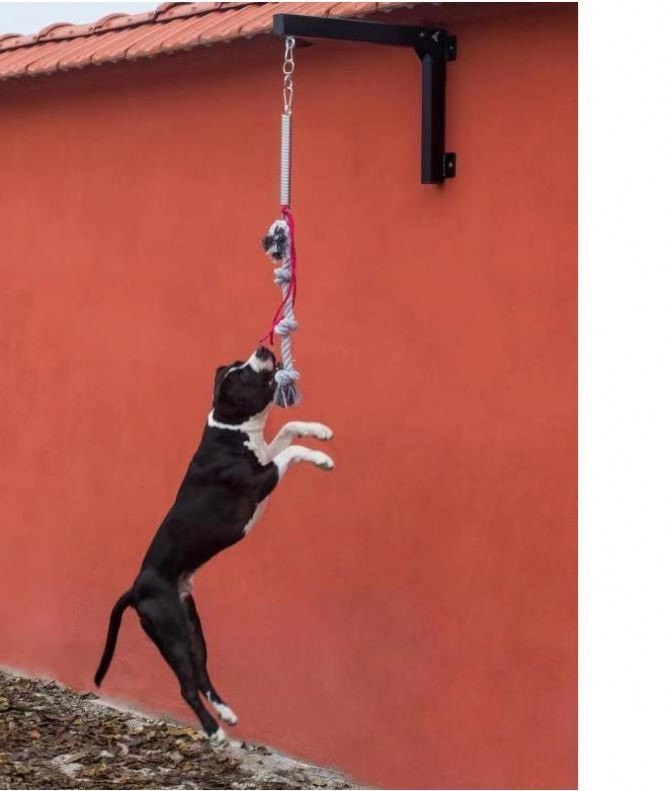 私たちのヘビーデューティスプリングポールトレーニングキットで次のレベルにあなたの犬のトレーニングを取ります